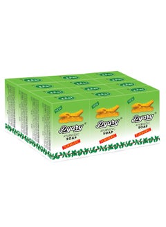 Pyary Ayurvedic Soap Turmeric 12 Pcs Green 
