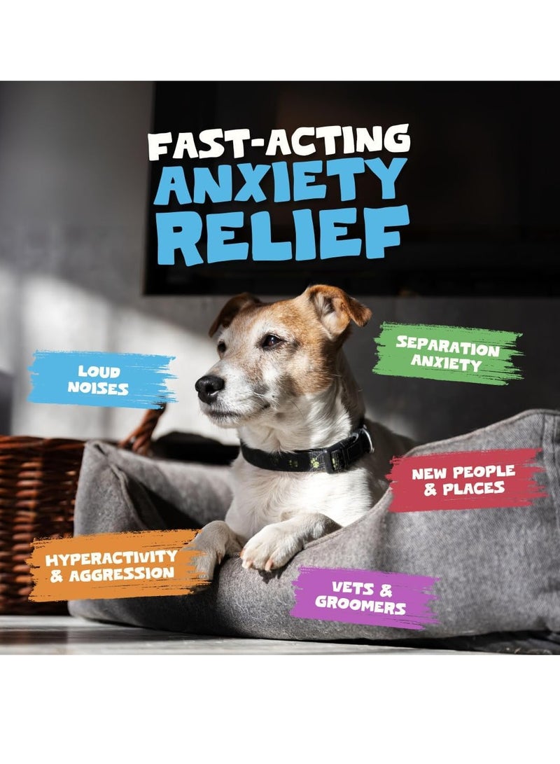 Pets Purest Dog Calming Drops 100 percent Natural Cat and Dog Anxiety Relief Calming Oil for Dogs Cats and Pets Soothe Stressed Nervous Reactive Pets with Anxiety 50ml Calming Supplement - Image 4