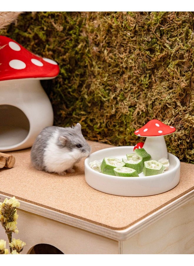 Niteangel - Niteangel Hamster Snack & Treats Toy - Small Animal Natural Treat for Dwarf Syrian Robo Hamsters Gerbils Mice Degus or Other Small-Sized Pets (Freeze-Dried Okra - 0.2oz (5.5g)) - Image 1