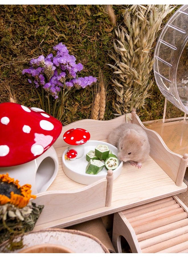 Niteangel - Niteangel Hamster Snack & Treats Toy - Small Animal Natural Treat for Dwarf Syrian Robo Hamsters Gerbils Mice Degus or Other Small-Sized Pets (Freeze-Dried Okra - 0.2oz (5.5g)) - Image 1