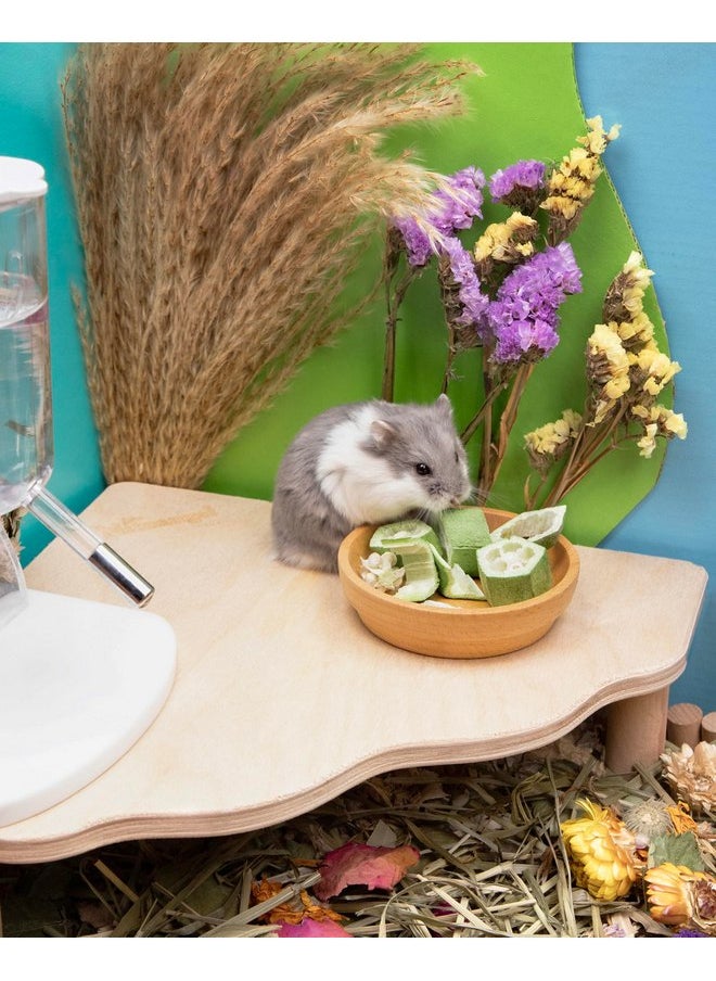 Niteangel - Niteangel Hamster Snack & Treats Toy - Small Animal Natural Treat for Dwarf Syrian Robo Hamsters Gerbils Mice Degus or Other Small-Sized Pets (Freeze-Dried Okra - 0.2oz (5.5g)) - Image 1