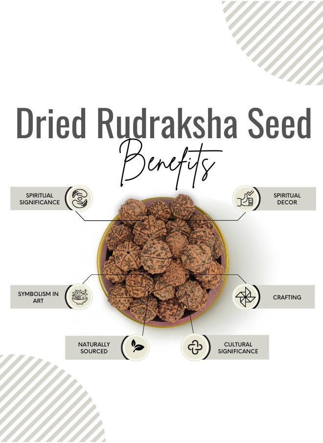Awafi Mill Rudraksha Beads | 5 Face Mukhi | Direct from Indias Sacred Trees  - Image 2