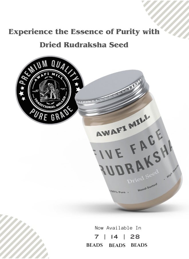 Awafi Mill Rudraksha Beads | 5 Face Mukhi | Direct from Indias Sacred Trees  - Image 4