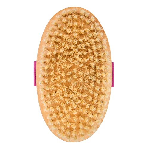 Cheeky Physique Tone & Glow Body Brush - Dry Brush for Cellulite and Lymphatic Drainage with Natural Bristles for Exfoliation and Skin Tightening - Image 5