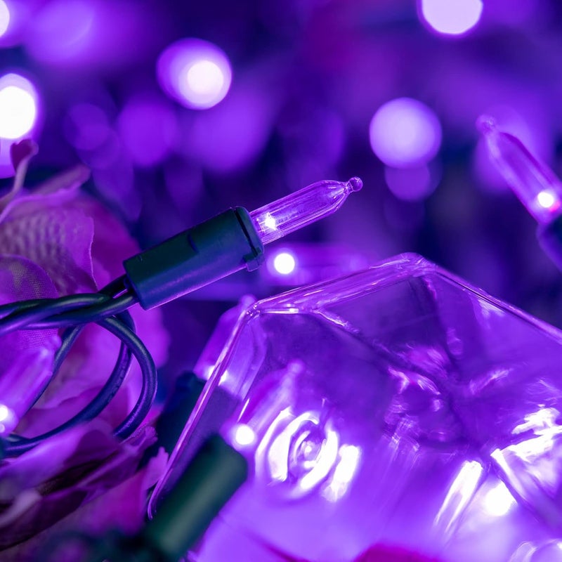 YULETIME 200 Count Purple LED Christmas Lights, 66 Feet Green Wire UL Certified Commercial Grade Holiday String Light Set (Purple) - Image 3