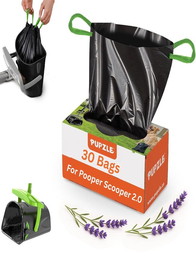 Pupzle Dog Pooper Scooper with Bag Attachment, 40" Long Handle Pooper Scooper for Large Dogs, Dog Poop Scoop for Yard, Large Capacity Swivel Bin and Rake, Lavender Scented Bags (Black) - Image 1