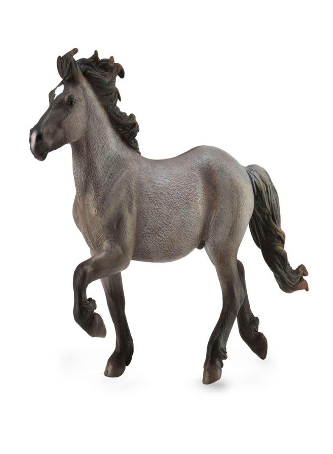 CollectA 88826 Dun ? Icelandic Stallion (Blue) - Image 1
