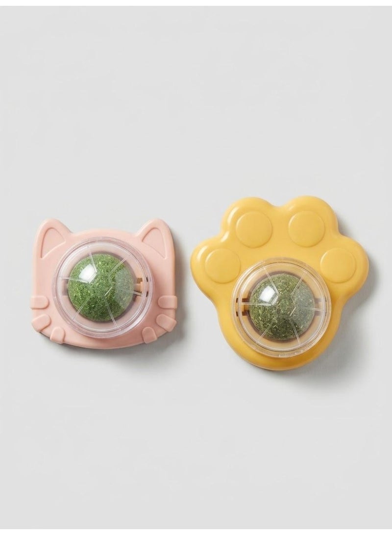 Catnip Toy for Cats - Soothing Pet Play in Assorted Shapes