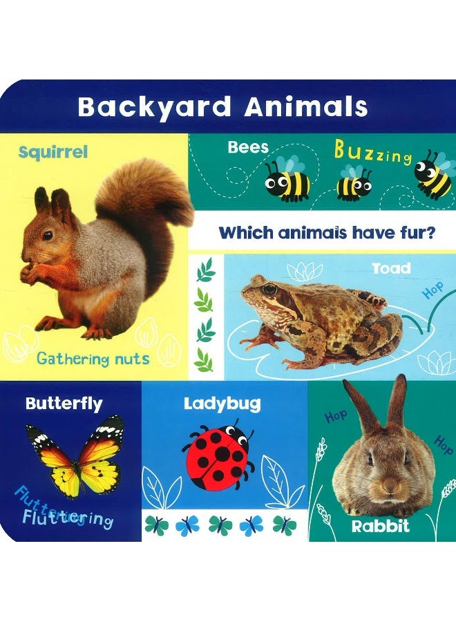 Look And Learn Animals - Image 4