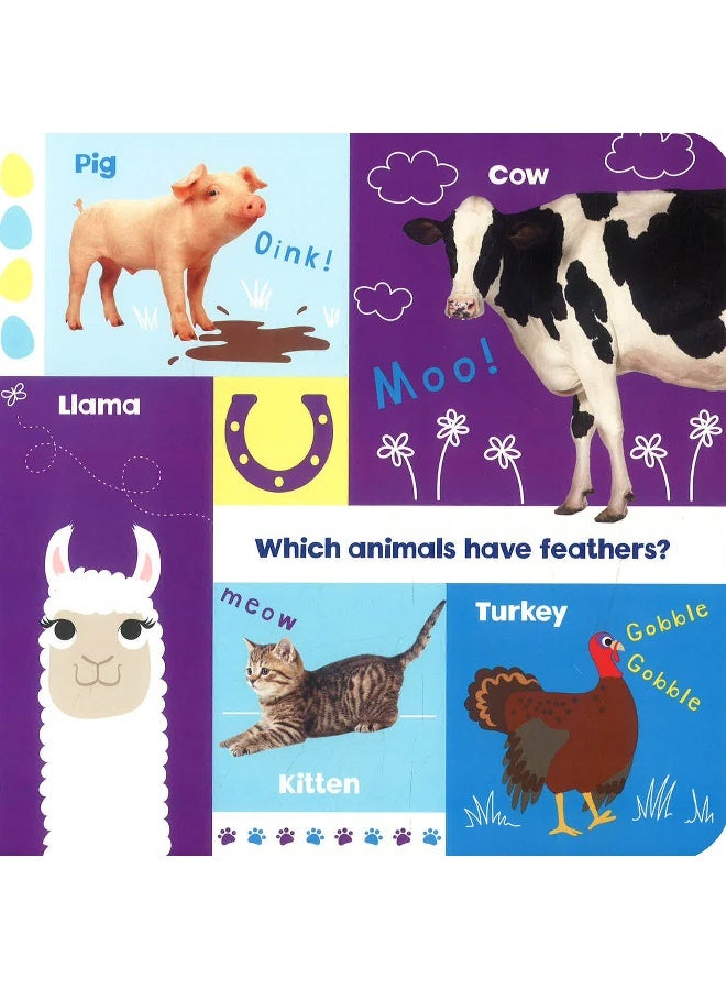 Look And Learn Animals - Image 3