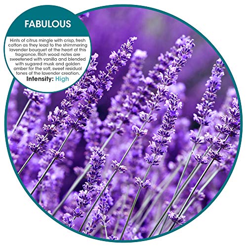 Fresh Products Eco-Air Refill, Air Freshener, Dry Fragrance Refill, Natural Oils, No Acetone or Propellants, Lasts 30 Days, Eco-Friendly, Powerful Fragrance — Fabulous, Made In USA, 6 Pack - Image 5