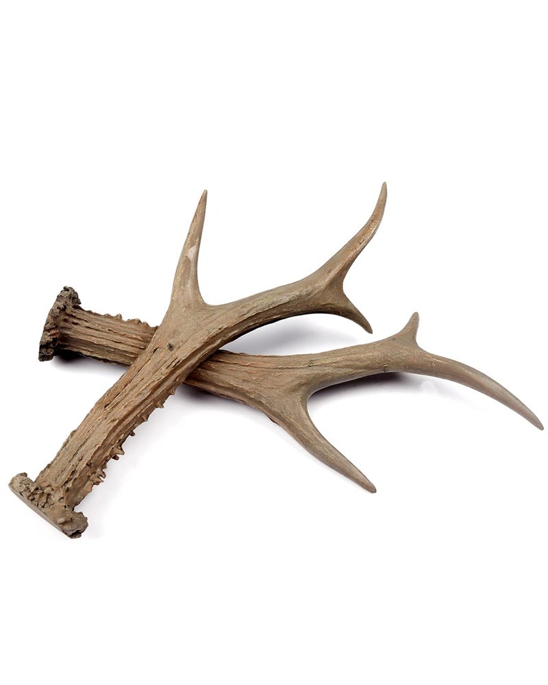 L'VOW Tribal Deer Antlers Decor - 2Pc Resin Antler Ornaments for LARP Accessories, Barbarian Cosplay, Viking Weddings, Parties(Brown) - Image 3