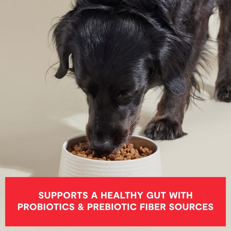 Open Farm, Epic Blend High Protein Dry Dog Food, Probiotic Coated & Bone Broth Infused Kibble with Air Dried Meat & Organs, Minimally Processed & Nutrient Dense, Beef & Superfood Recipe, 18lb Bag - Image 3