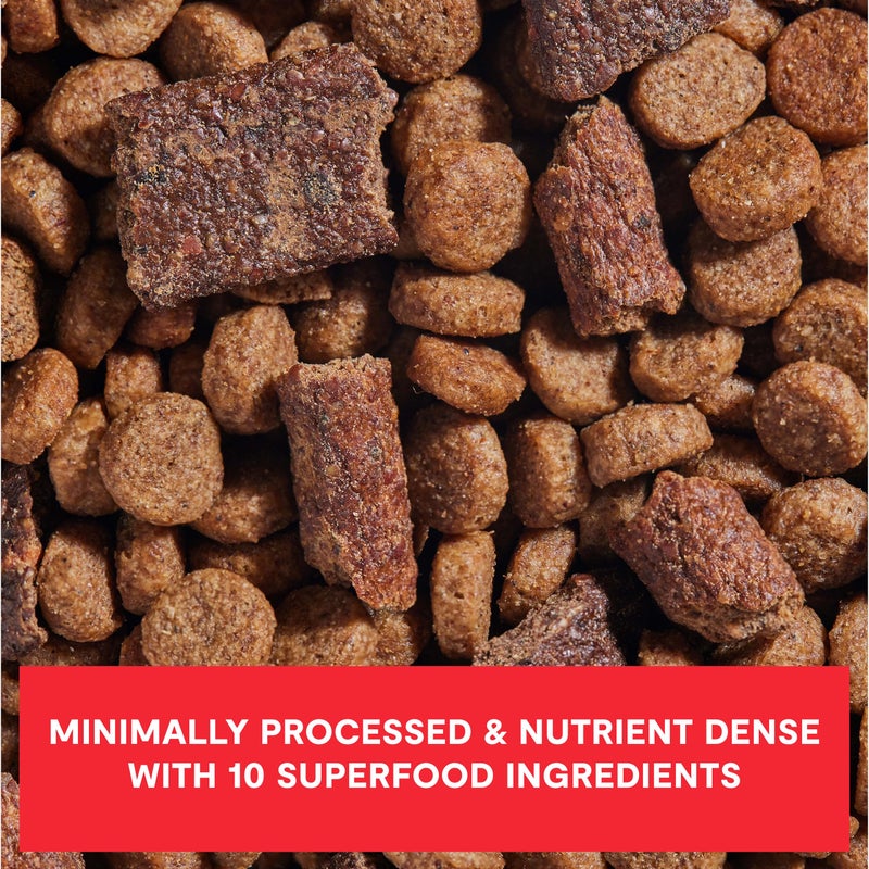 Open Farm, Epic Blend High Protein Dry Dog Food, Probiotic Coated & Bone Broth Infused Kibble with Air Dried Meat & Organs, Minimally Processed & Nutrient Dense, Beef & Superfood Recipe, 18lb Bag - Image 4