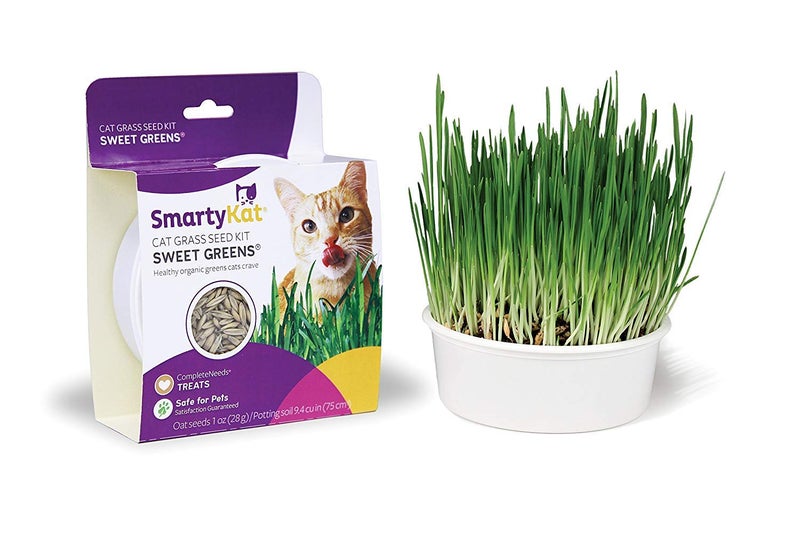 SmartyKat Sweet Greens Cat Grass Seed Grow Kit - 1 Ounce - Image 5