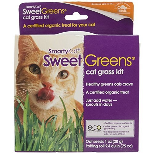 SmartyKat Sweet Greens Cat Grass Seed Grow Kit - 1 Ounce - Image 1