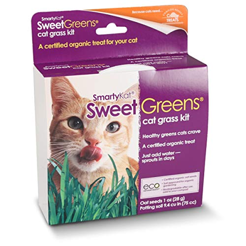 SmartyKat Sweet Greens Cat Grass Seed Grow Kit - 1 Ounce - Image 3