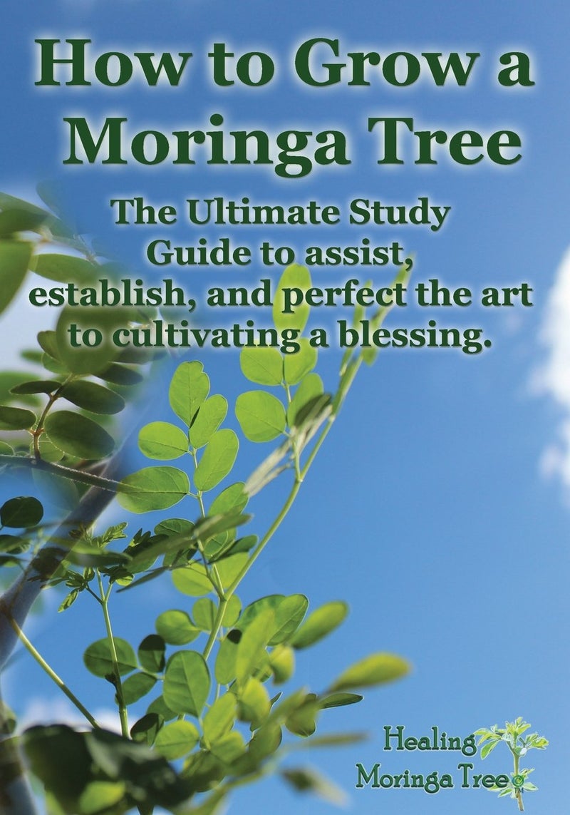 CREATESPACE How to grow a Moringa Tree: The Ultimate Study Guide to assist, establish, and perfect the art to cultivating a blessing. - Image 3