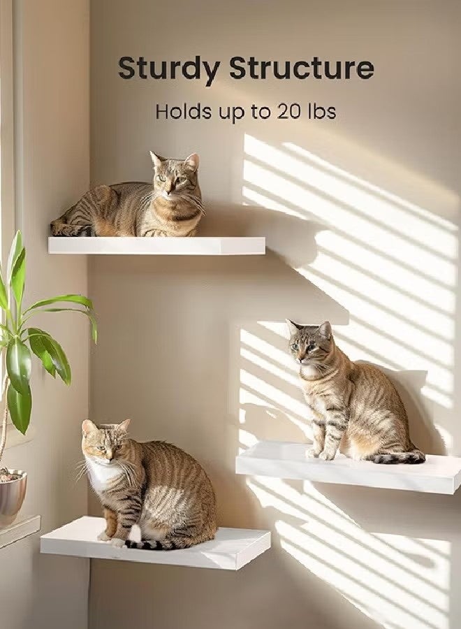 بيوينتي أرفف الخشب العائمة - Image 4