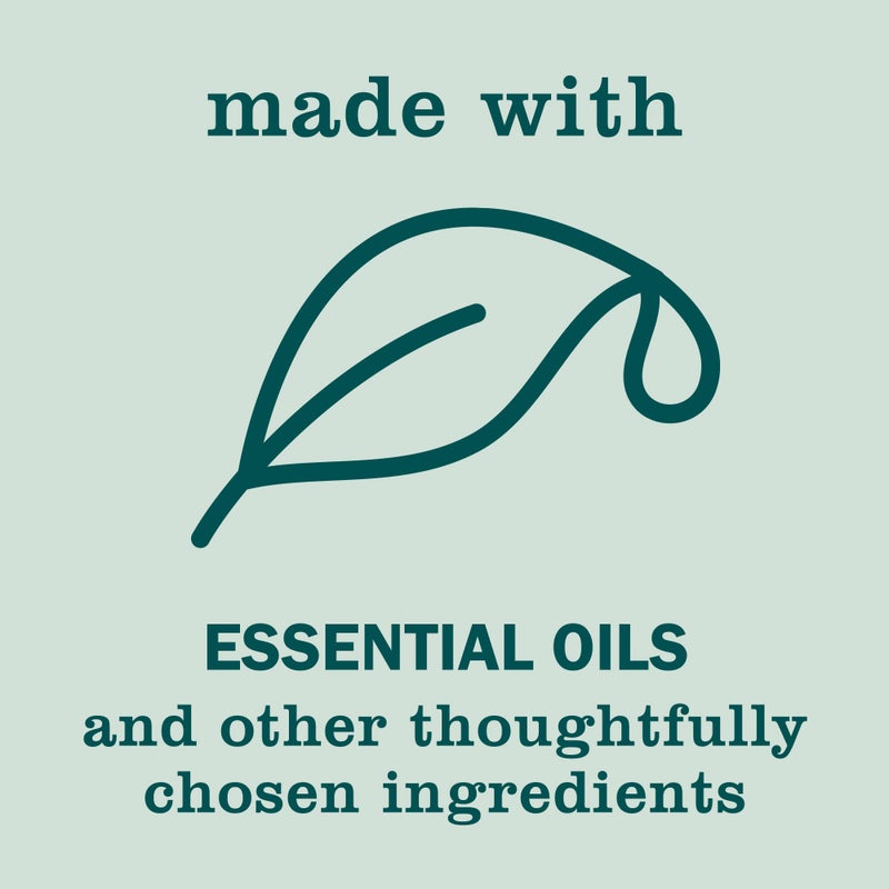 MRS. MEYER'S CLEAN DAY Hand Soap, Made with Essential Oils, Birchwood, 12.5 fl. oz - Image 5