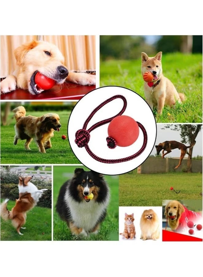Saudi Select Dog Ball on a Rope 2 Pack Natural Interactive Rubber Ball for Fetch Catch Throw and Tug of War - Image 2