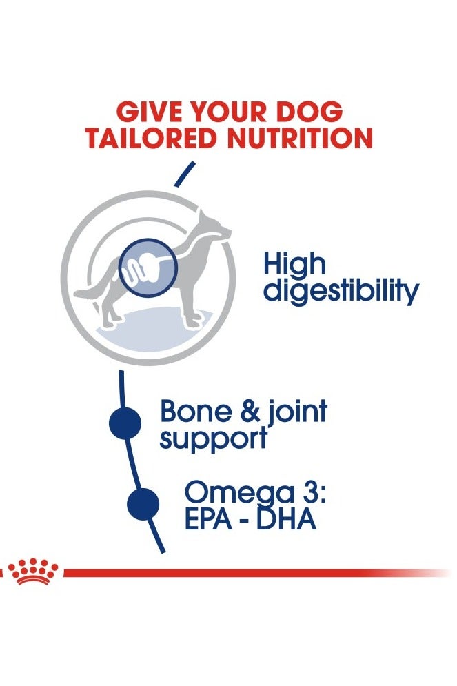 رويال كانين حجم صحة التغذية ماكسي للبالغين 4 كجم - Image 4