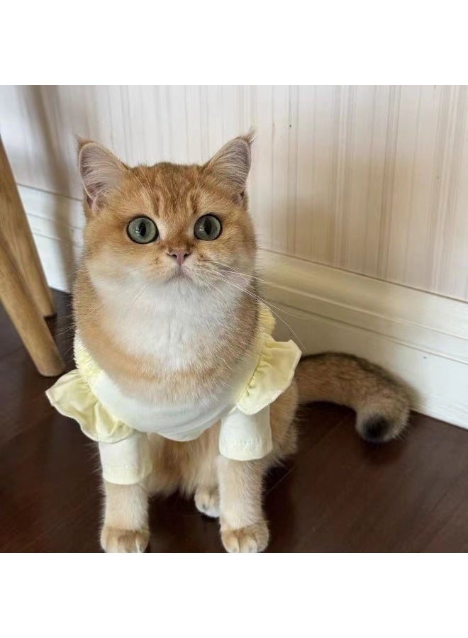 A.M Pet autumn and winter bee fluffy traction bottoming shirt pet clothes cat dog chest harness clothes - Image 3