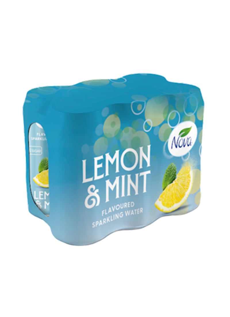 Lemon Mint Flavoured Sparkling Water