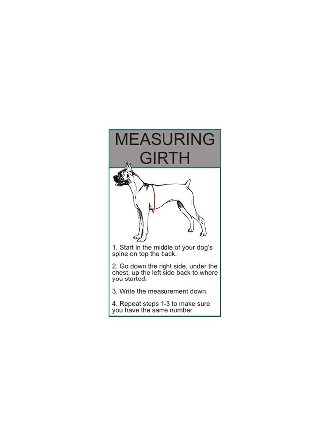 Doggie Stylz Service Dog mesh Vest Harness Cool Comfort Nylon for Dogs Small Medium Large Purchase Comes with 2 Reflective Service Dog Removable Patches. Please Measure Your Dog Before Ordering