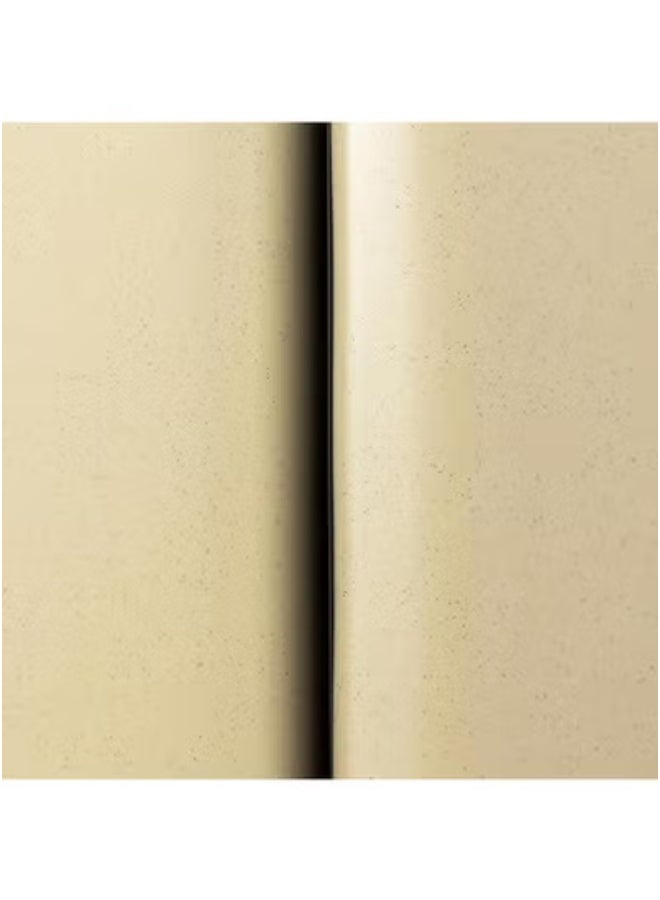 ماستر جولد 6 قطع صحون تقديم مستطيلة ميلامين | أطباق المقبلات | صحون تقديم المأكولات البحرية | مقاوم للكسر، آمن للاستخدام في غسالة الأطباق والميكروويف | للمنزل، المطعم، الفنادق (بيج | أسود، 29.5 * 12.5 سم) - Image 5