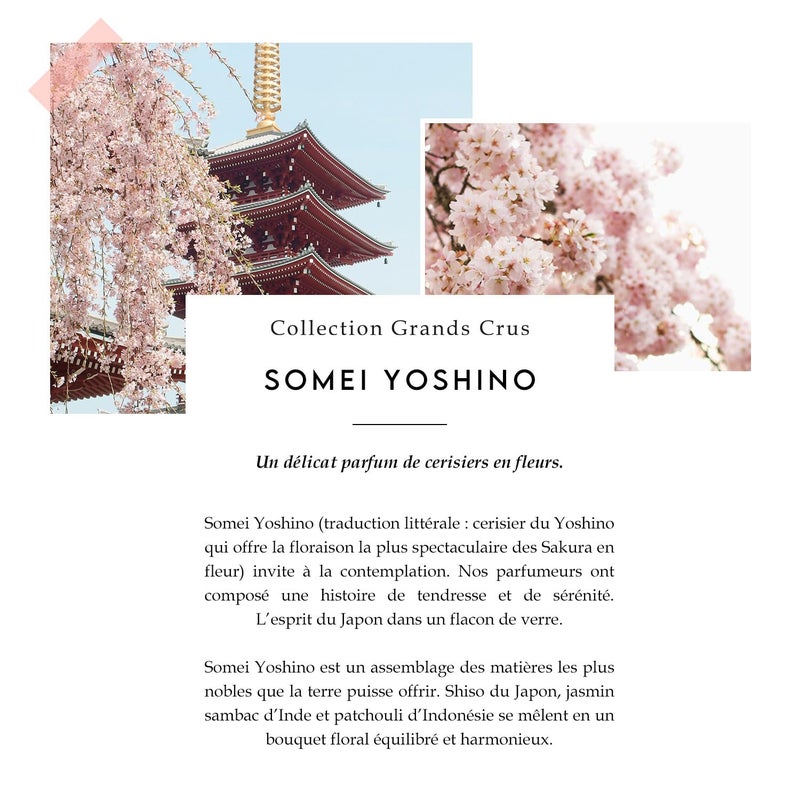 Berdoues Grands Crus Somei Yoshino Eau de Parfum | Floral, Long Lasting Scent Made in France | Spray Fragrance for Women| Luxury Perfume with Premium Quality Ingredients, 3.4 fl.oz. - Image 3