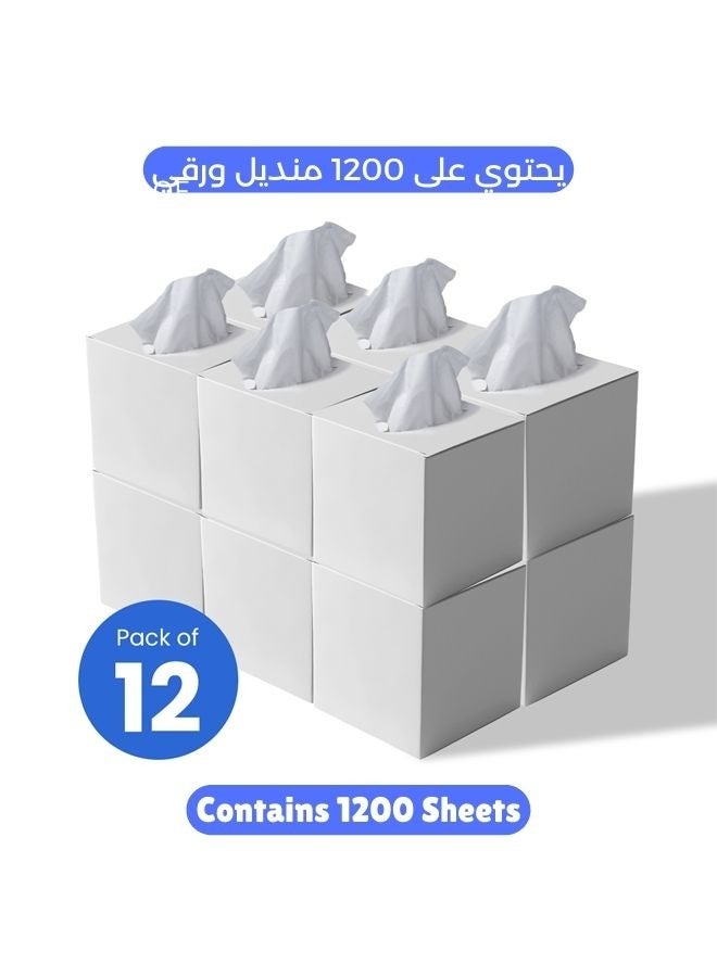 NICE Touch مناديل وجه 2 طبقة 1200 ورقة في صناديق مكعبة - تحتوي على 12 صندوق من 100 مناديل ناعمة وامتصاص عالية الجودة - Image 1
