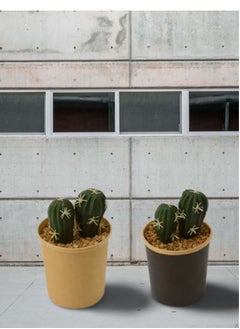 FEJKA Small cactus plant with semi-realistic thorns that comes in a multi-colored pot of 2 pieces  - Image 3
