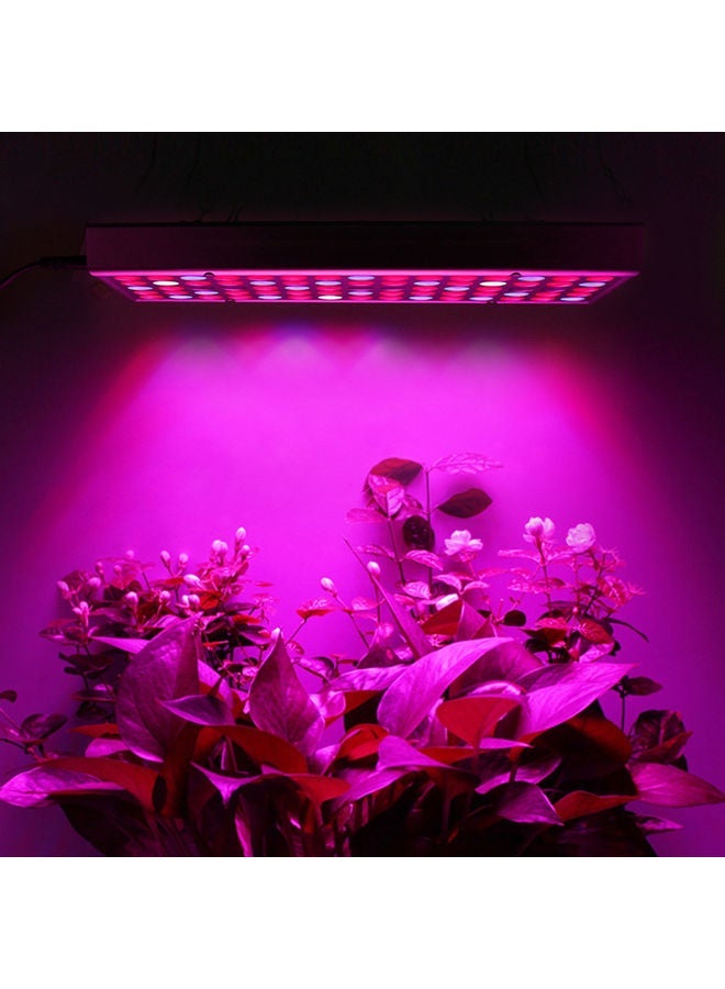 NIBEMINENT LED Full Spectrum Grow Lamp For Indoor Plants Multicolour - Image 5