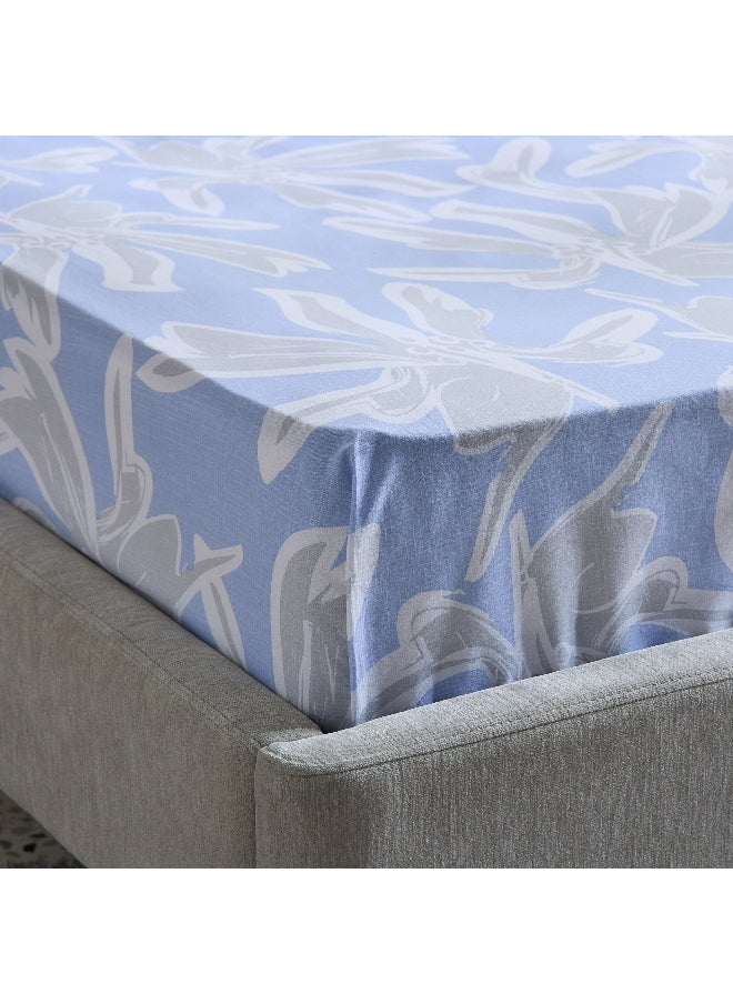 Home Box Malta Evelyn Printed Cotton Twin Flat Sheet - 170x260 cm  - Image 1