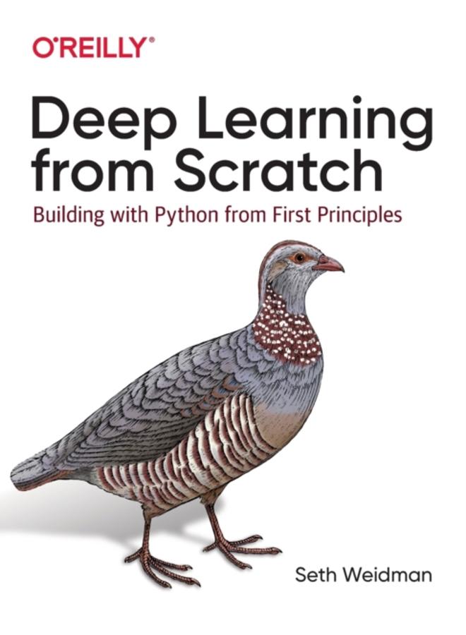 Deep Learning from Scratch : Building with Python from First Principles