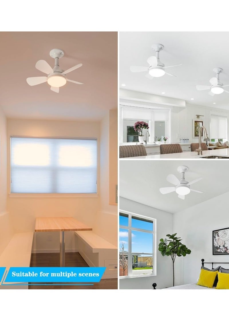 Small LED Ceiling Fan with Light and Remote 3 Adjustable Light Modes Fan  - Image 2