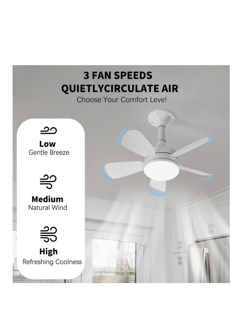 Small LED Ceiling Fan with Light and Remote 3 Adjustable Light Modes Fan  - Image 3