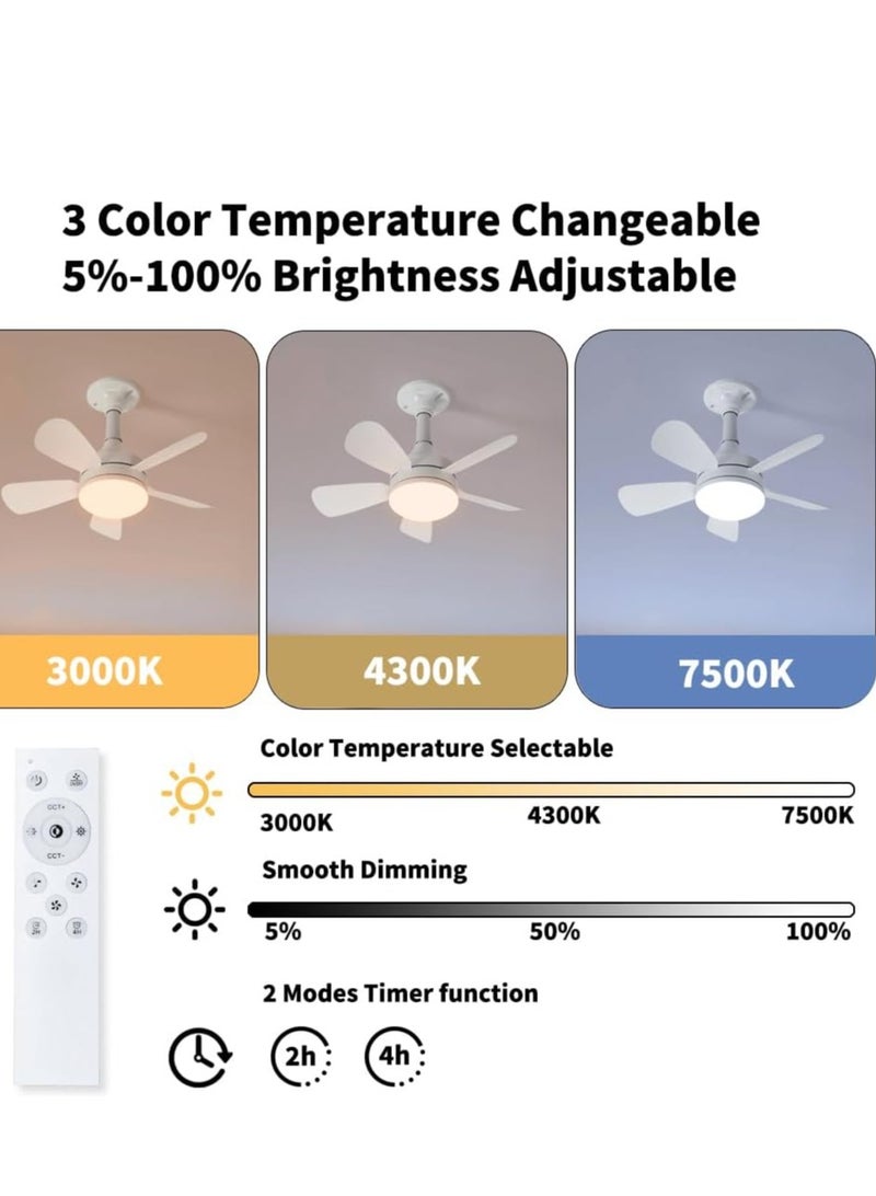 Small LED Ceiling Fan with Light and Remote 3 Adjustable Light Modes Fan  - Image 5