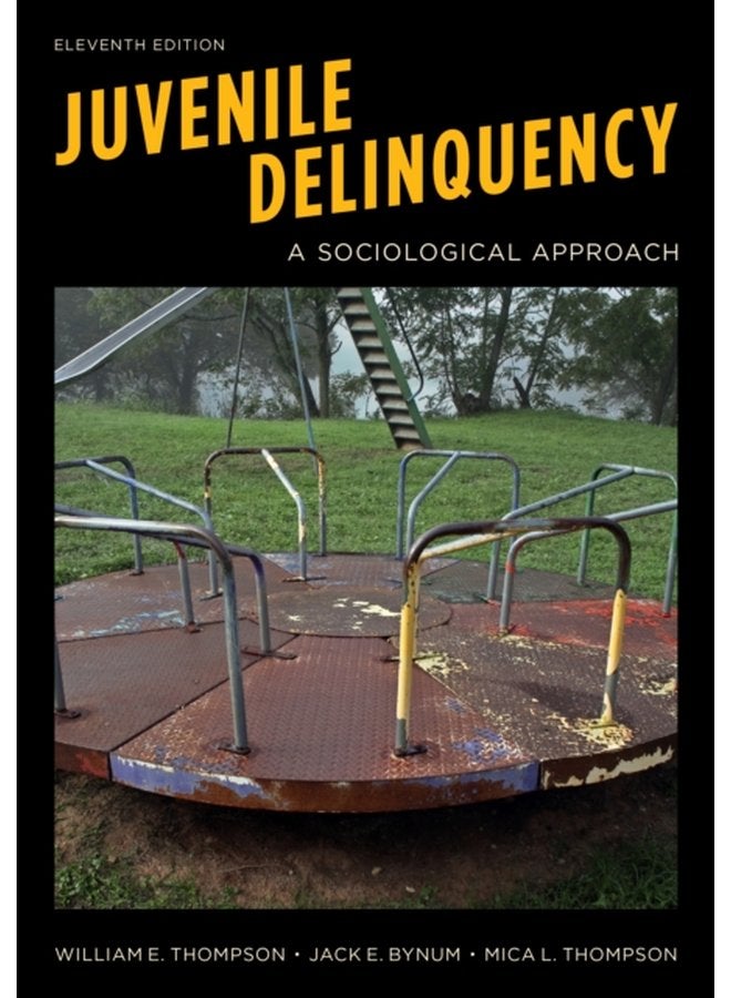 Juvenile Delinquency A Sociological Approach - Paperback