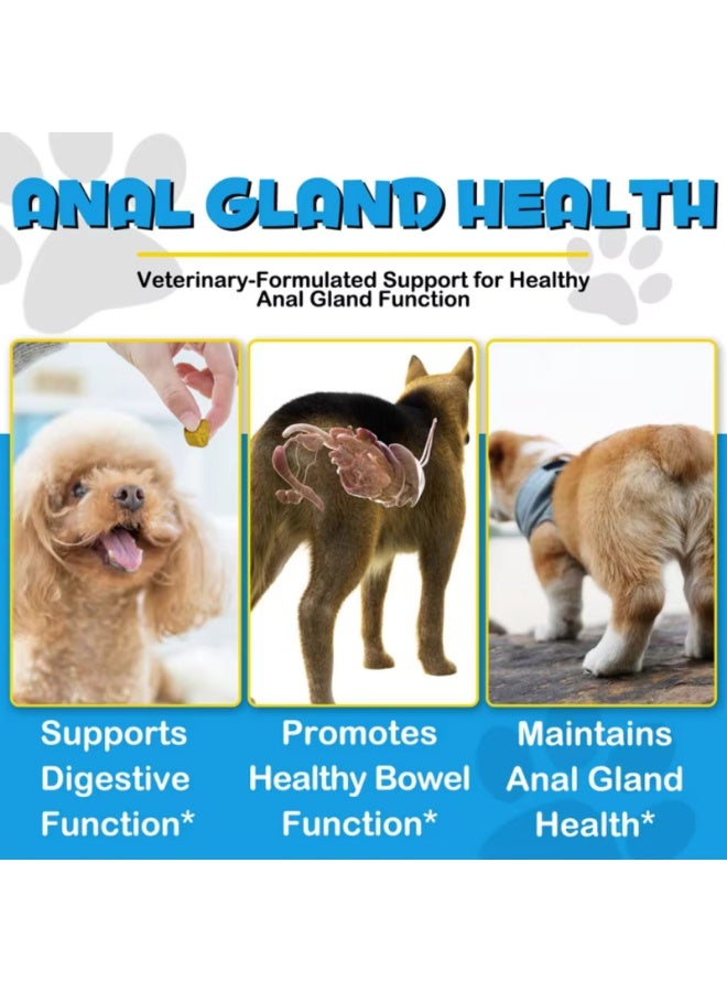 Oimmal 150 قطعة 375 جرام مضغ دعم الغدد الشرجية للكلاب، إنزيم هضمي وصيغة بروبيوتيك مع اليقطين، تعزز وظيفة الأمعاء الصحية وصحة الغدد الشرجية بنكهة لحم البقر، مضغ ناعم لجميع السلالات - Image 5