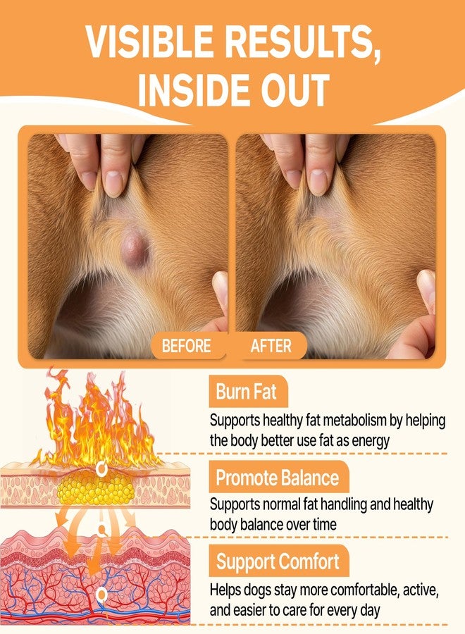 Duduboy Lipoma Treatment for Dogs, Helps Shrink Fatty Tumors Naturally - Image 3
