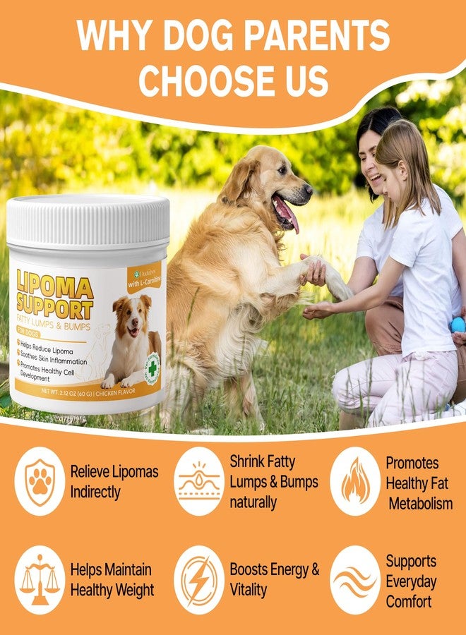 Duduboy Lipoma Treatment for Dogs, Helps Shrink Fatty Tumors Naturally - Image 4