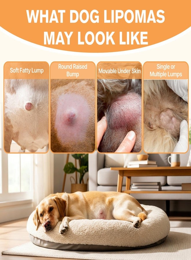 Duduboy Lipoma Treatment for Dogs, Helps Shrink Fatty Tumors Naturally - Image 2