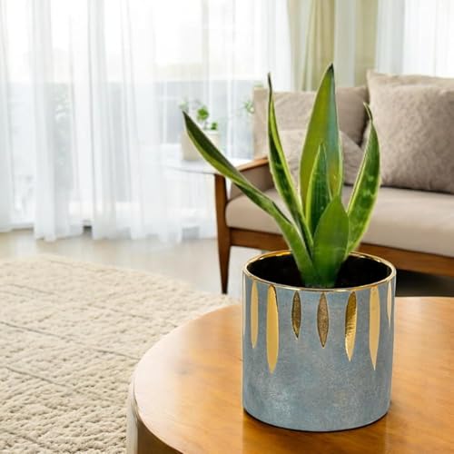 FOX & FERN Premium Ceramic Planter with Drainage-Hole for Vibrant Garden | Enhance The Ambiance of Your Home, Office or Garden (Dia. 5") (GA133B-087-GG) - Image 2