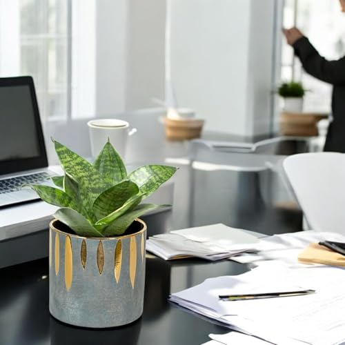 FOX & FERN Premium Ceramic Planter with Drainage-Hole for Vibrant Garden | Enhance The Ambiance of Your Home, Office or Garden (Dia. 5") (GA133B-087-GG) - Image 5