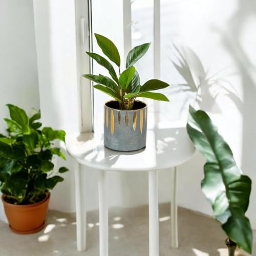 FOX & FERN Premium Ceramic Planter with Drainage-Hole for Vibrant Garden | Enhance The Ambiance of Your Home, Office or Garden (Dia. 5") (GA133B-087-GG) - Image 4