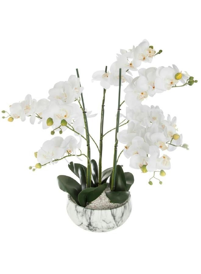 لوفت أوركيد,زهرة,L45XP45XH61.5CMS,أسمنت رخام-155640 - Image 1