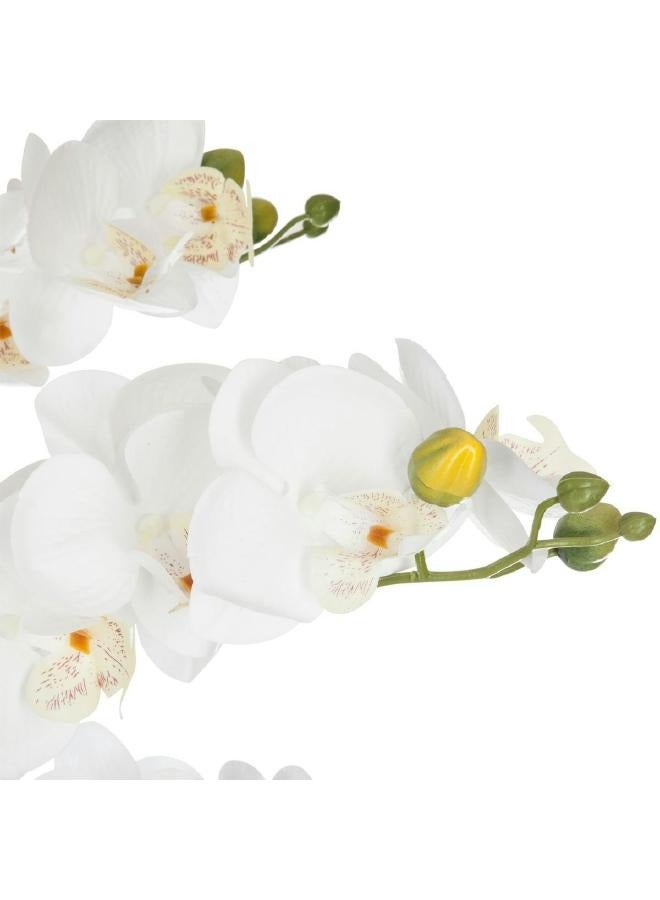 لوفت أوركيد,زهرة,L45XP45XH61.5CMS,أسمنت رخام-155640 - Image 2