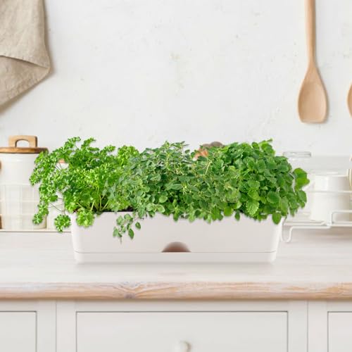 KvyusFlourish 6 Pack Rectangle Planter 16x4.4 Inch Window Boxes Planters Rectangular Large Window Sill Planters Indoor Self Watering Plant Pots with Drainage Holes and Saucers Succulent Herb Flower Pots, Light Grey - Image 2